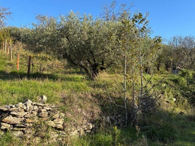 Terreno in vendita a Riva di Bagnolo, Montemurlo