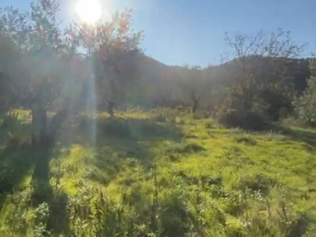 Terreno in vendita a Riva di Bagnolo, Montemurlo
