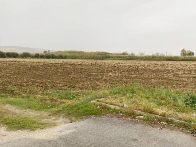 Terreno in vendita a Marina di Montenero di Bisaccia, Montenero di Bisaccia