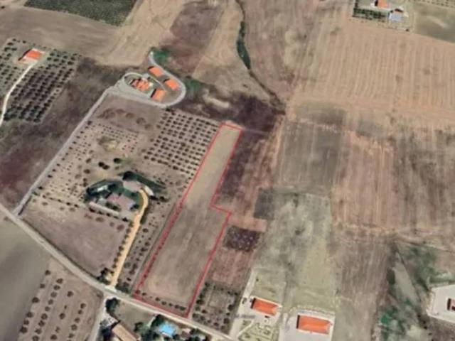 Terreno in vendita a Montenero di Bisaccia, Molise