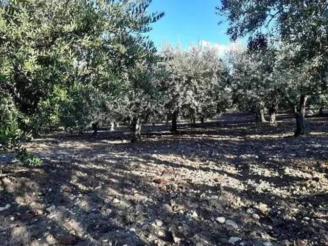 Terreno in vendita a Monteodorisio, Abruzzo