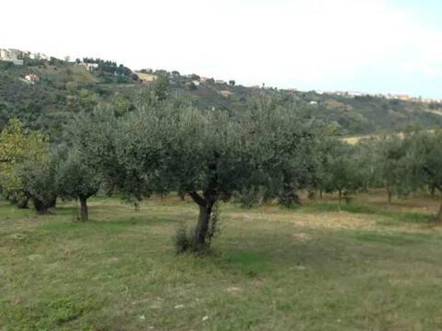 Terreno in vendita a Monteodorisio, Abruzzo