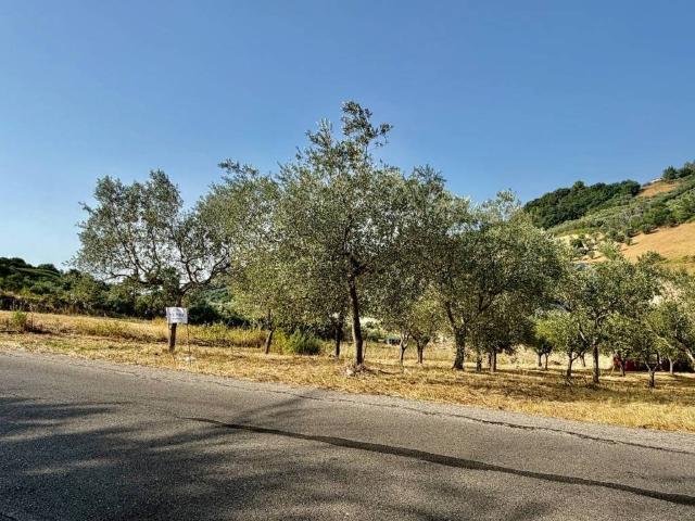 Terreno in vendita a Monteodorisio, Abruzzo