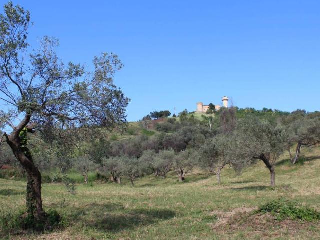 Terreno in vendita a Monteodorisio, Abruzzo
