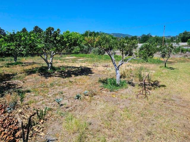 Terreno in vendita a Calabria, Catanzaro