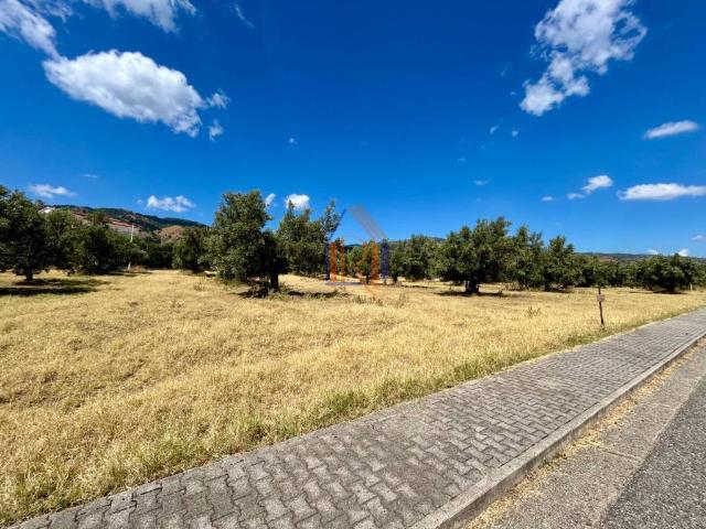 Terreno in vendita a Calabria, Catanzaro