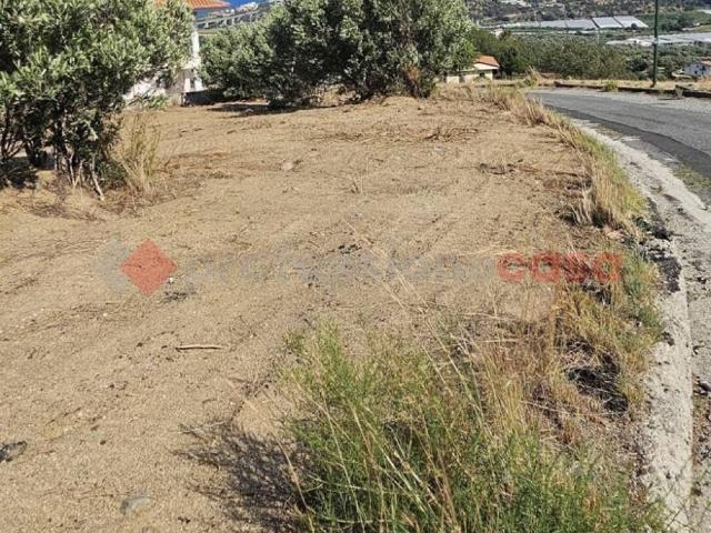 Terreno in vendita a Calabria, Catanzaro