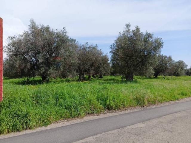 Terreno in vendita a Puglia, Taranto