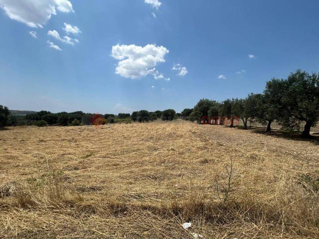 Terreno in vendita a Puglia, Taranto