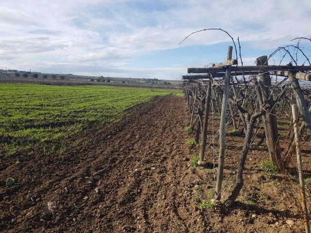 Terreno in vendita a Puglia, Taranto