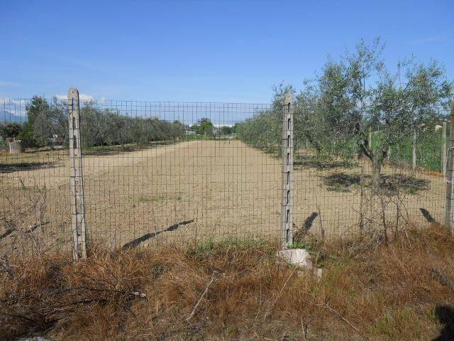 Terreno in vendita a Molino, Marche