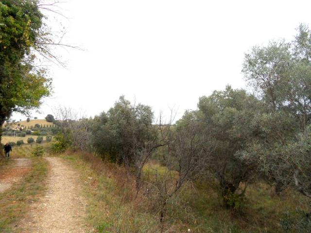 Terreno in vendita a Marche, Ascoli Piceno