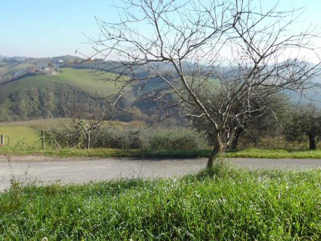 Terreno in vendita a Marche, Ascoli Piceno