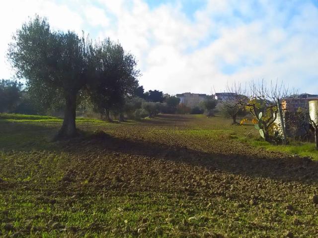 Terreno in vendita a Bora Ragnola, Marche