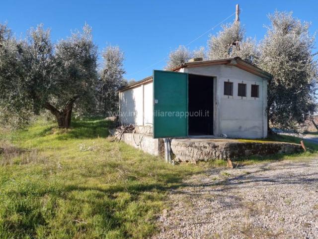 Terreno in vendita a Acquaviva, Abbadia Di Montepulciano