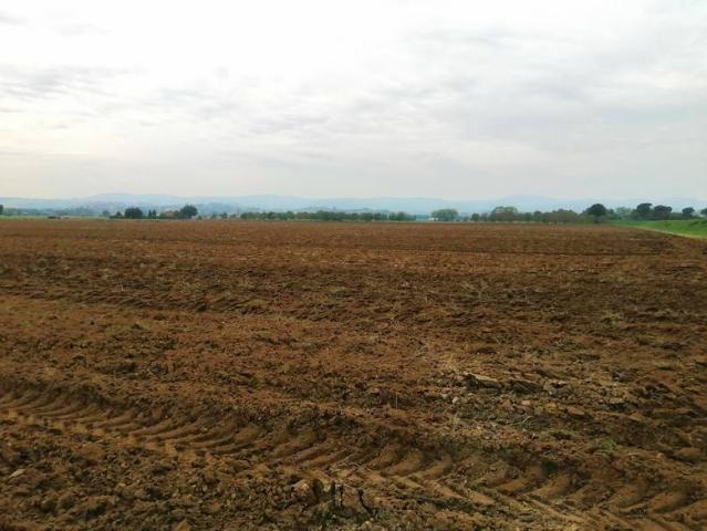 Terreno in vendita a Montepulciano, Siena