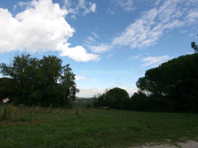 Terreno in vendita a Abbadia Di Montepulciano, Toscana