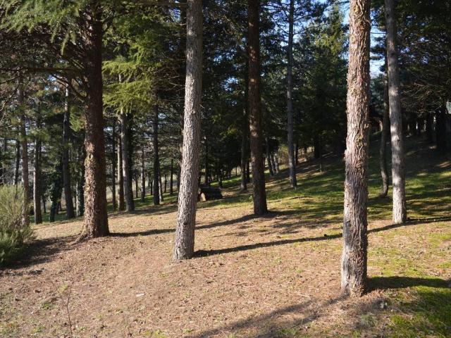 Terreno in vendita a Unione dei comuni Savena-Idice, Monterenzio