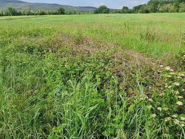 Terreno in vendita a Fornacelle, Monteriggioni