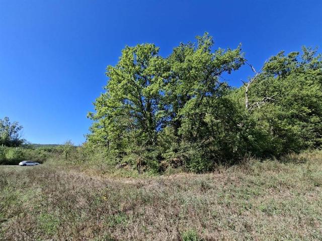 Terreno in vendita a Monteriggioni, Toscana