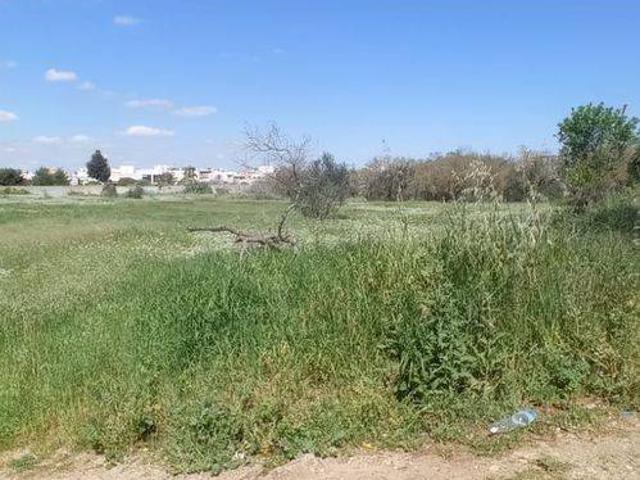 Terreno in vendita a Puglia, Lecce