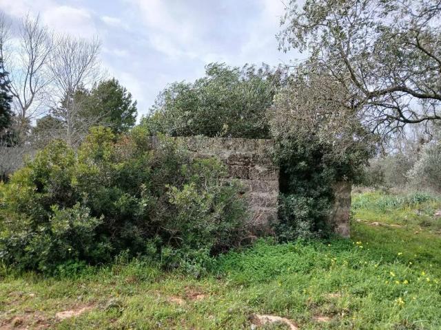 Terreno in vendita a Puglia, Lecce