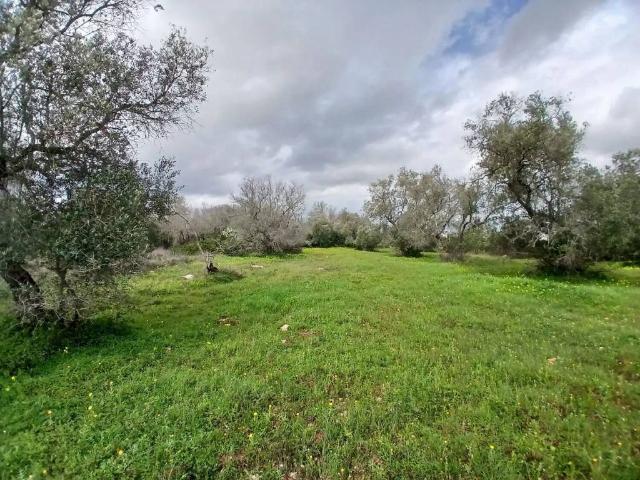 Terreno in vendita a Puglia, Lecce