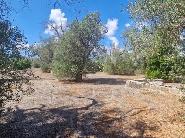 Terreno in vendita a Puglia, Lecce