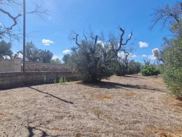 Terreno in vendita a Puglia, Lecce