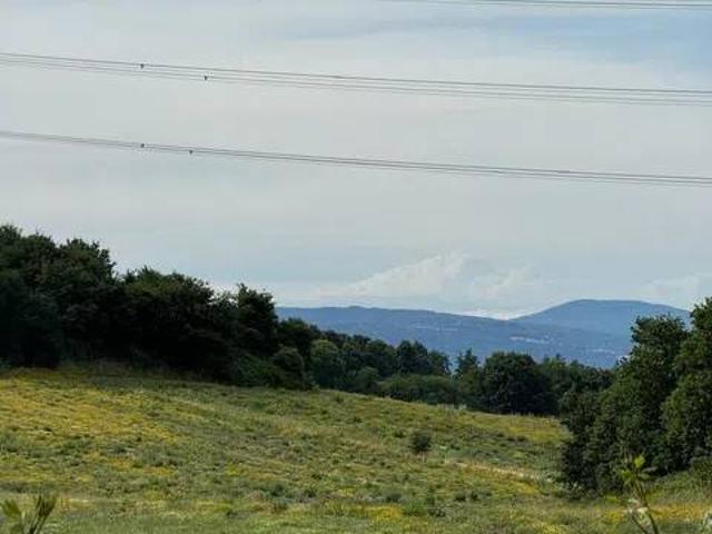 Terreno in vendita a Monterosi, Lazio