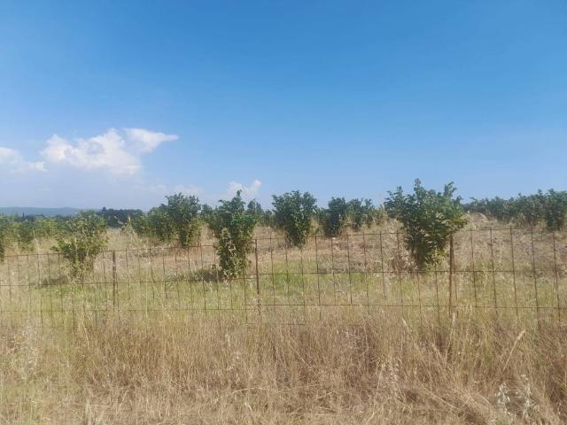 Terreno in vendita a Roma Capitale, Lazio