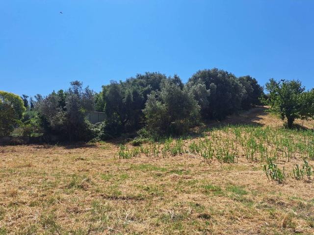 Terreno in vendita a Roma Capitale, Lazio