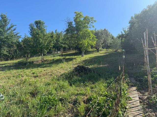 Terreno in vendita a Roma Capitale, Lazio