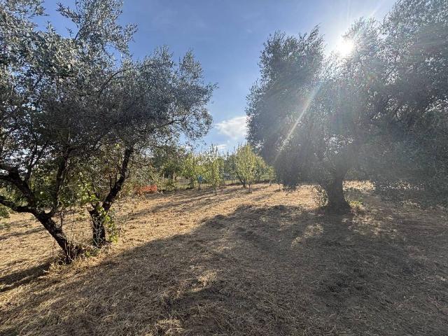 Terreno in vendita a Monterotondo, Roma Capitale