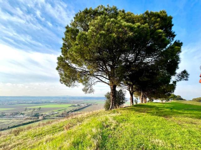 Terreno in vendita a Roma Capitale, Lazio
