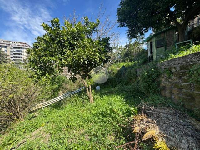 Terreno in vendita a Roma Capitale, Lazio