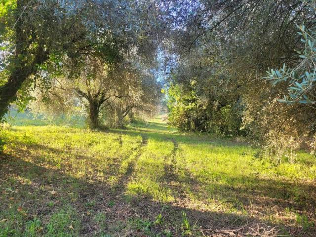 Terreno in vendita a Monterotondo, Roma Capitale