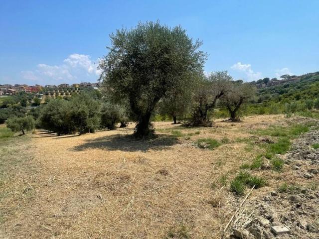 Terreno in vendita a Monterotondo Scalo, Roma Capitale