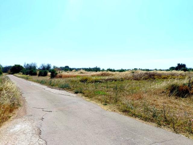 Terreno in vendita a Puglia, Lecce