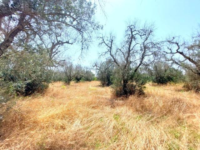 Terreno in vendita a Puglia, Lecce