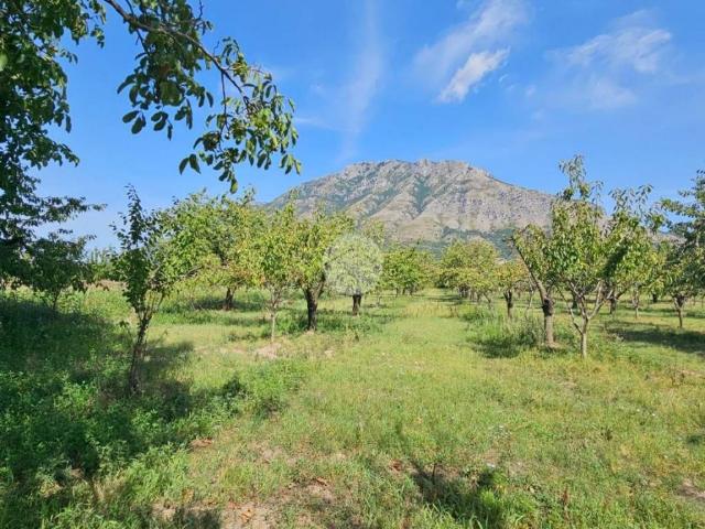 Terreno in vendita a Borgo Fontanelle, Montesarchio