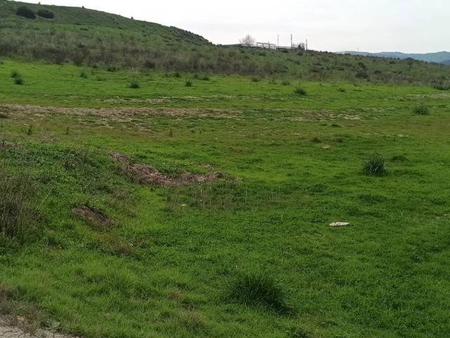 Terreno in vendita a Montescaglioso, Basilicata
