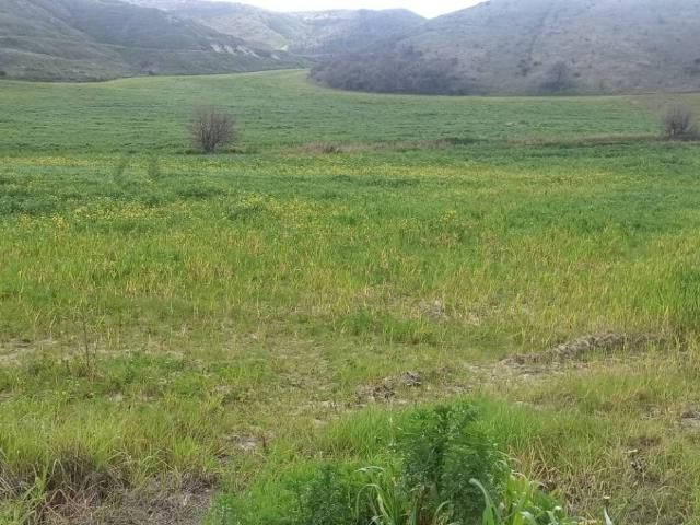 Terreno in vendita a Montescaglioso, Basilicata