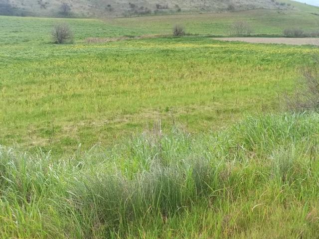 Terreno in vendita a Montescaglioso, Basilicata
