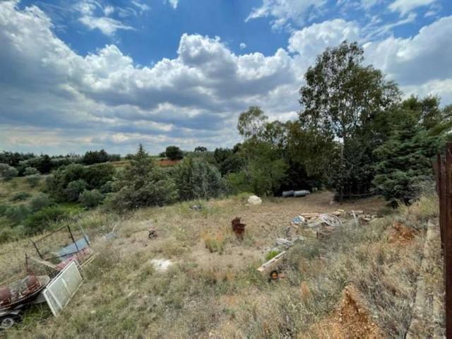 Terreno in vendita a Montescaglioso, Basilicata