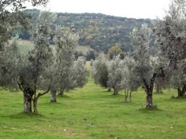 Terreno in vendita a Montescudo-Monte Colombo, Monte Colombo