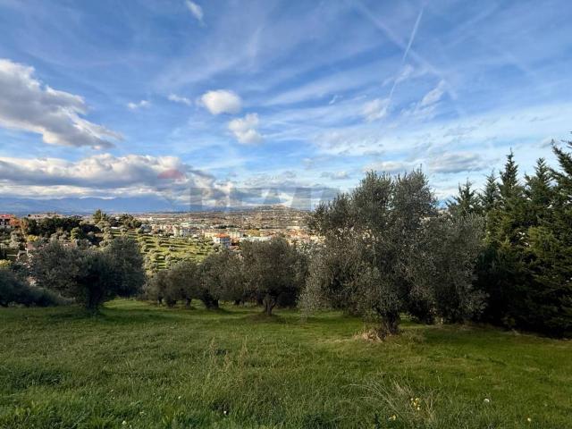 Terreno in vendita a Montesilvano, Abruzzo