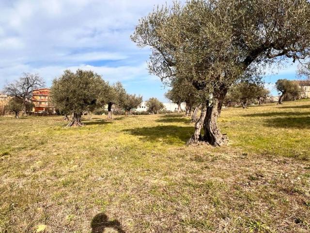 Terreno in vendita a Giardino, Montesilvano