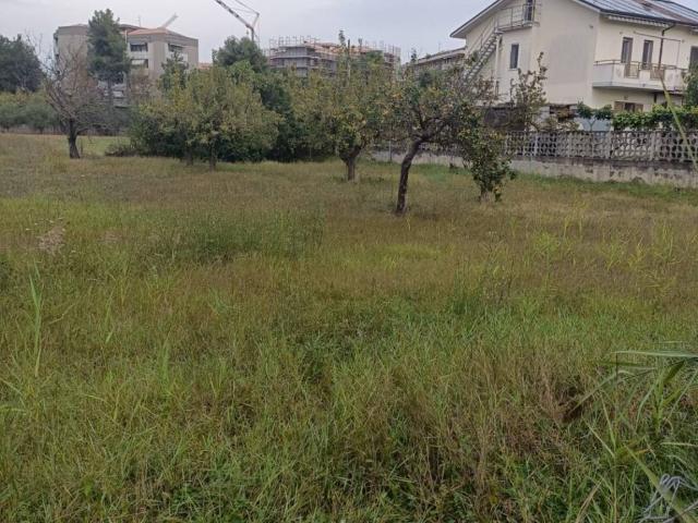 Terreno in vendita a Montesilvano, Abruzzo