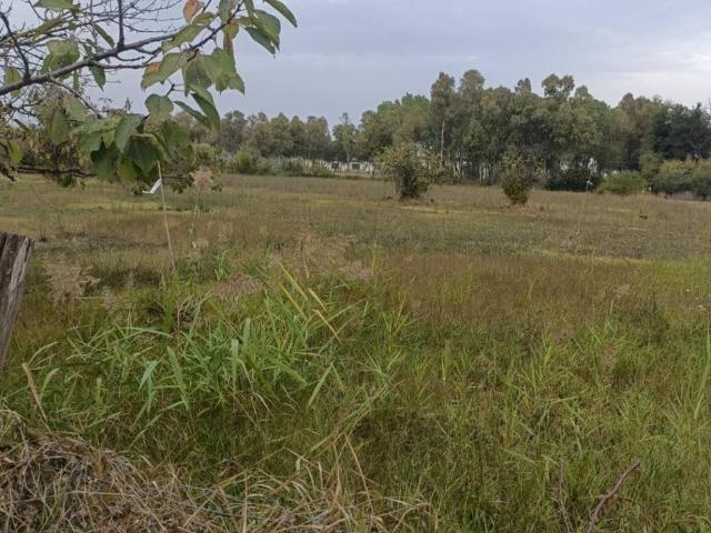 Terreno in vendita a Montesilvano, Abruzzo